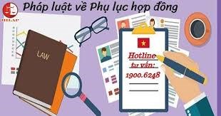 Phụ lục hợp đồng lao động được ký mấy lần?