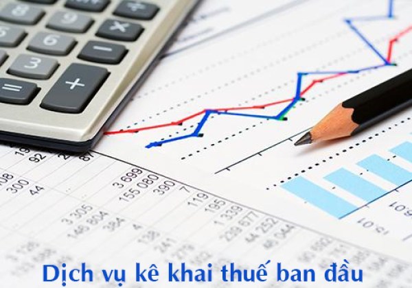 Dịch vụ tư vấn thuế tại Đại lý thuế D&P